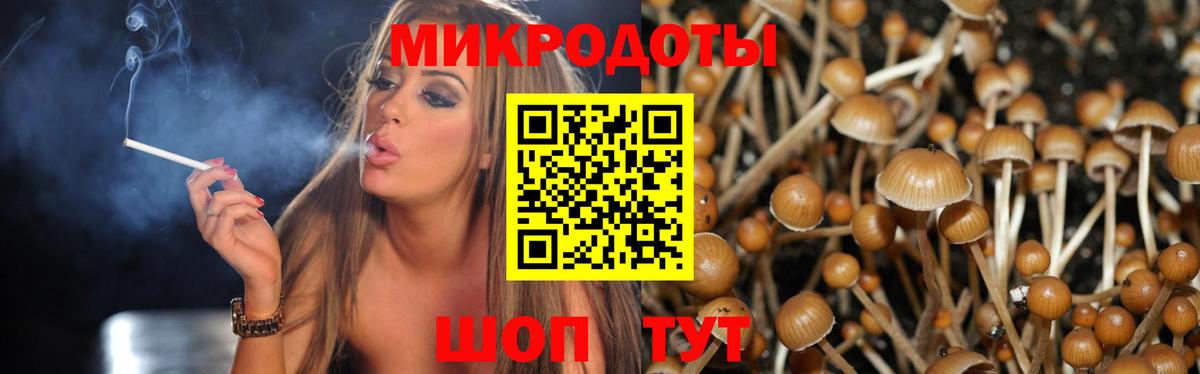 Галлюциногенные грибы Psilocybine cubensis  Вход с VPN  Дзержинский 